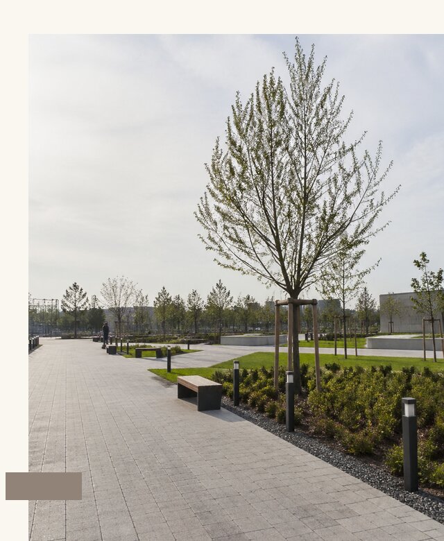 Проект благоустройства сквера в Ессентуках по цене от 183546 | А3дПро-Ссн